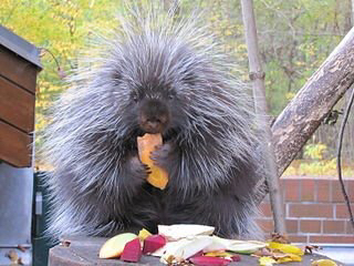 0e7cf2f96bdfe16912f0694dd04c3198f9d28faf