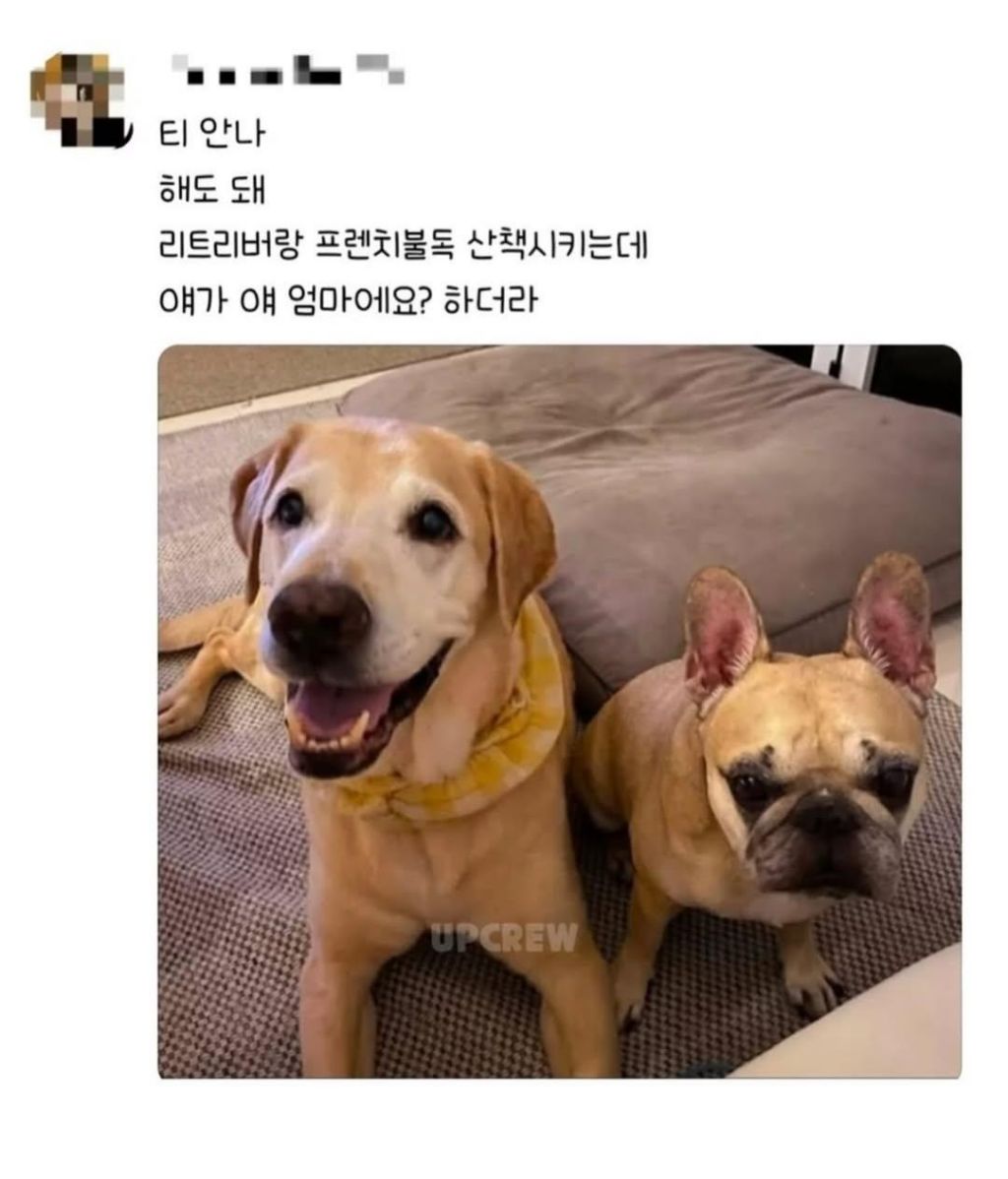 편견없는 대한민국 모음 | 인스티즈