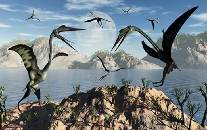 익룡 실제 크기 | 인스티즈