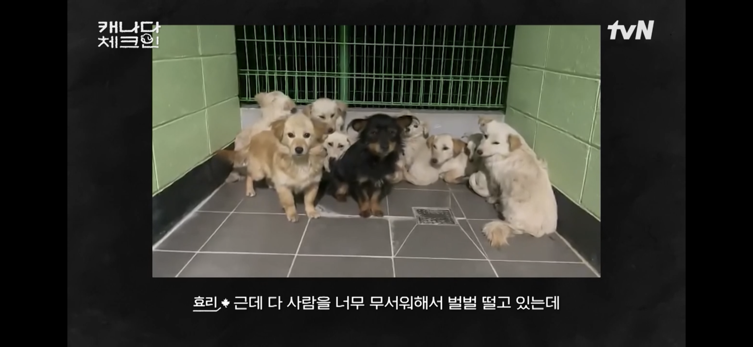 초조하게 누군가를 기다리는 이효리 | 인스티즈