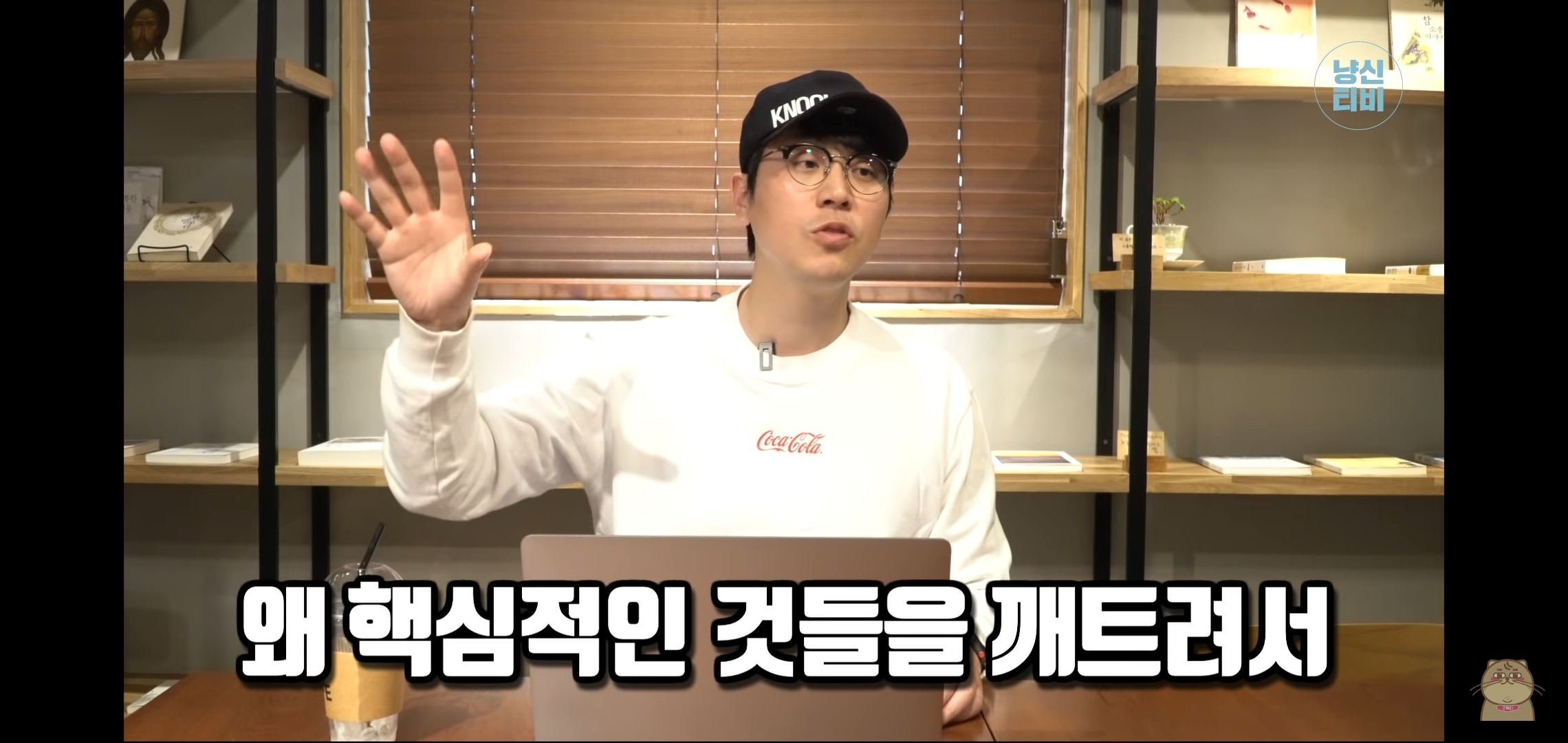 고양이 산책? 하지마!!!!! | 인스티즈