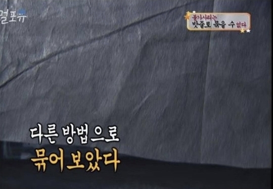 [스펀지] 불가사리를 밧줄로 묶으면? | 인스티즈