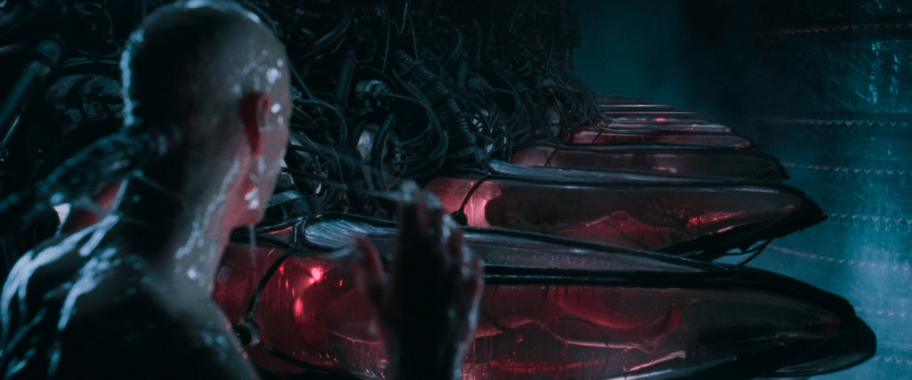 어이없지만 인간이 태양을 없애버린 이유.jpg (엥 이게 이거라고⁉️) | 인스티즈