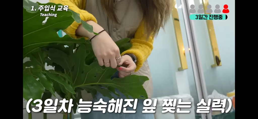 역대급 대충격이였던 식물실험 | 인스티즈