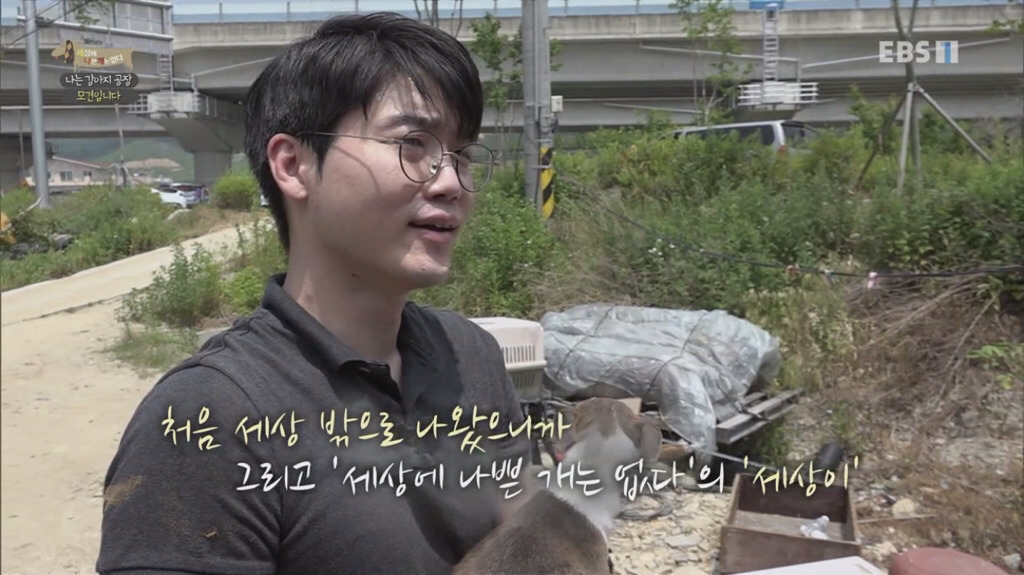 [세상에나쁜개는없다] 강아지 공장에서 구조되어 설채현 전문가에게 입양된 '세상이' 근황 | 인스티즈