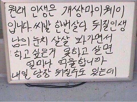 사는 게 힘들고 벅찬 여시들에게 | 인스티즈