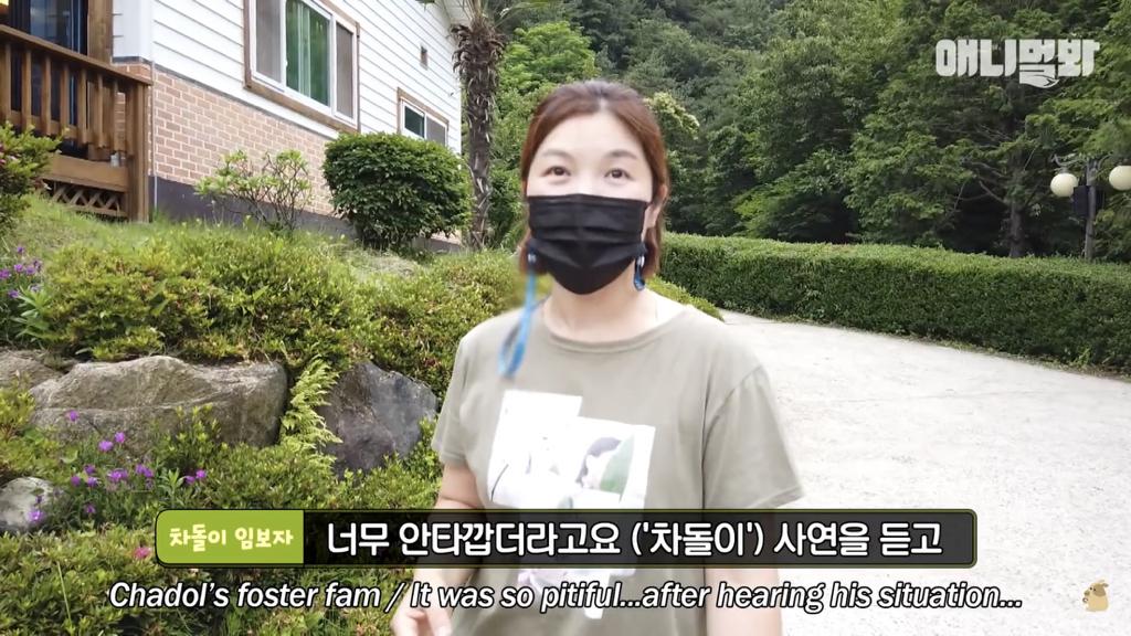 1년만에 자신을 두고 간 주인을 만난 강아지 반응 | 인스티즈