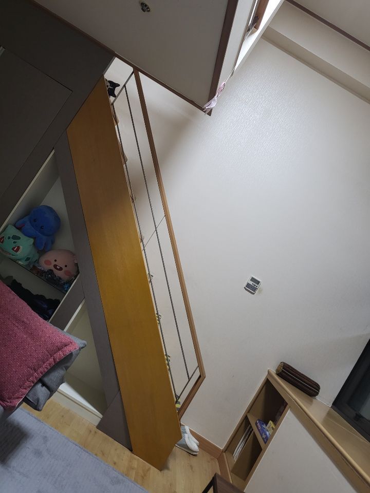 몰래 훔쳐보는 고양이 모음집 | 인스티즈