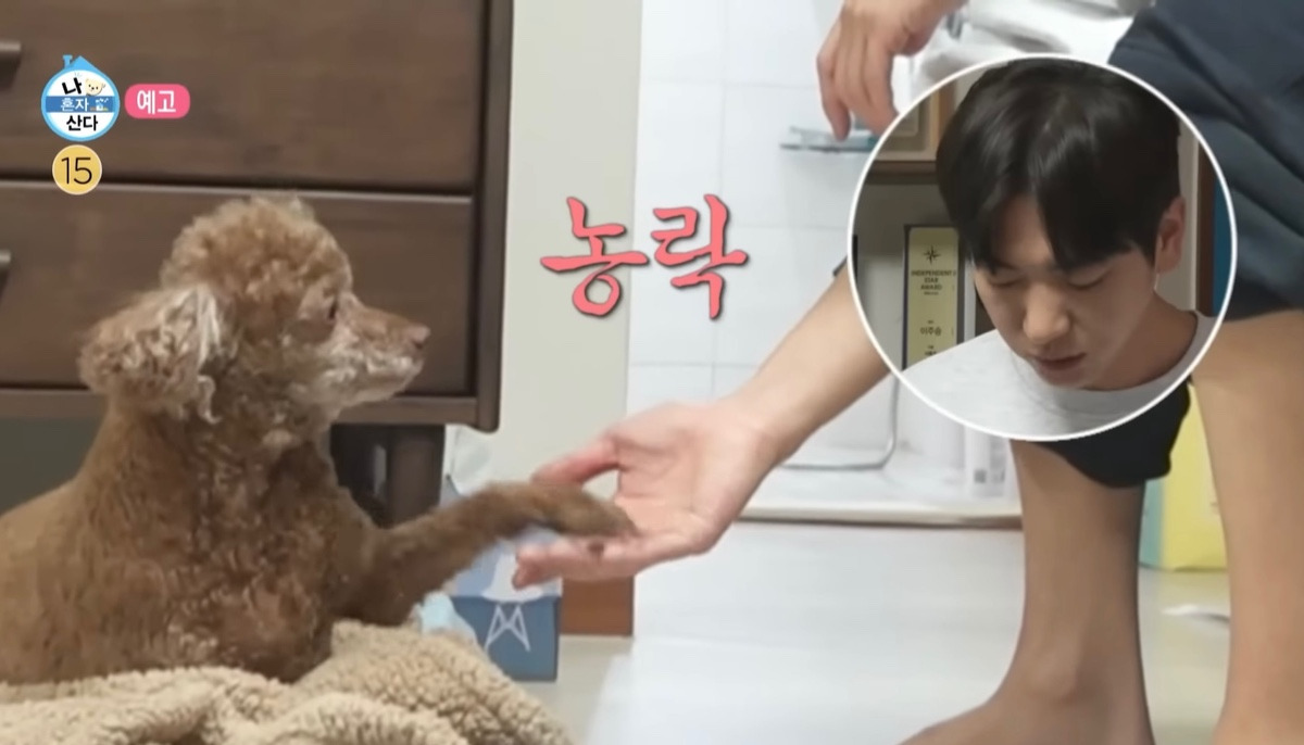 이주승 강아지 무려 한달간 봐줘야함 | 인스티즈