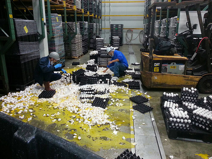 천 마디 말보다 가치 있는 사진들 모음 | 인스티즈