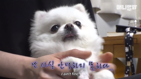 밤낮없이 집 도어락을 누르는 누군가때문에 고민인 부부 | 인스티즈