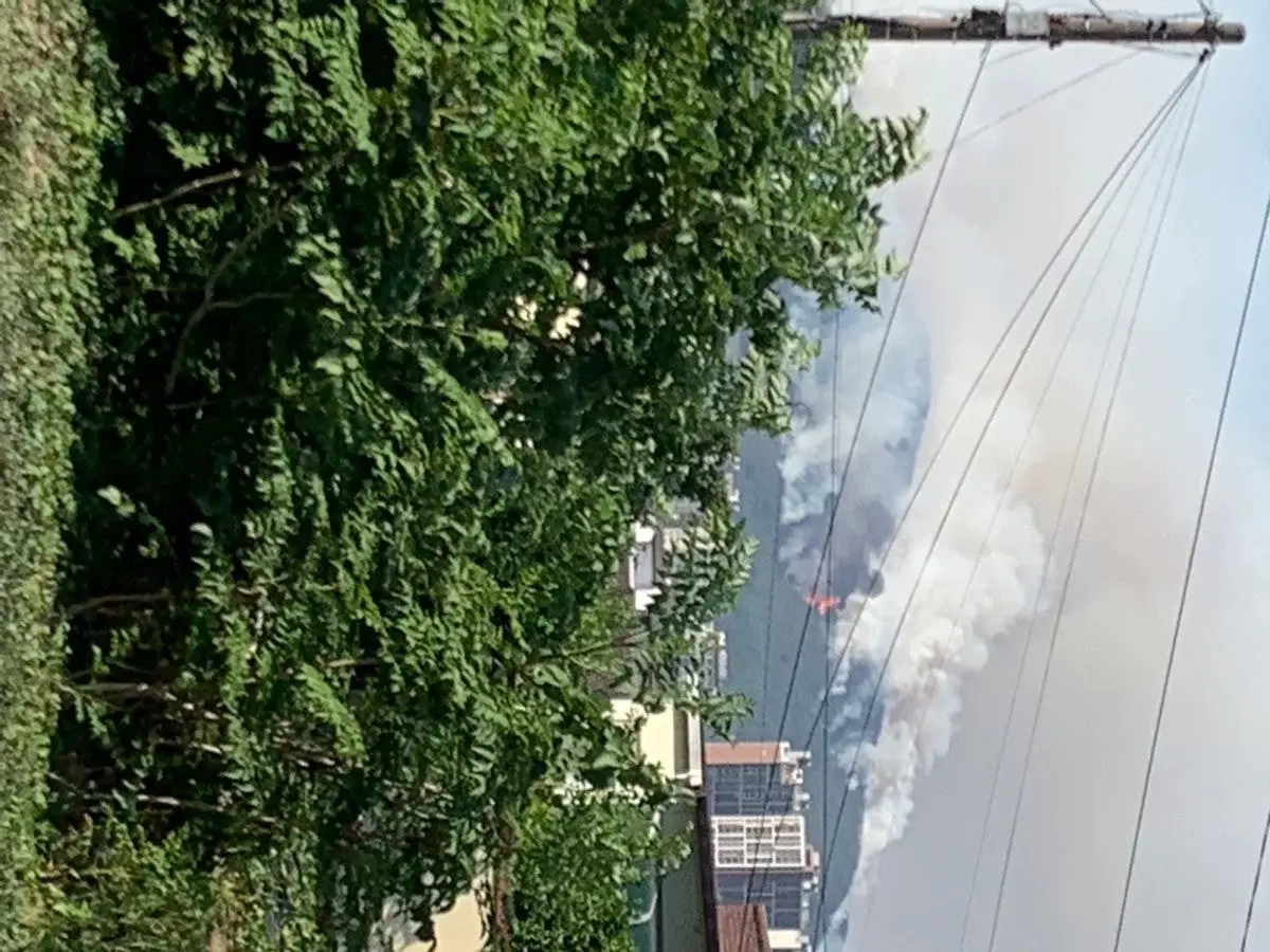 국가재난경보 심각단계 상황에 옆 도시 가서 먹을 생각만 하는 현직 대통령? | 인스티즈