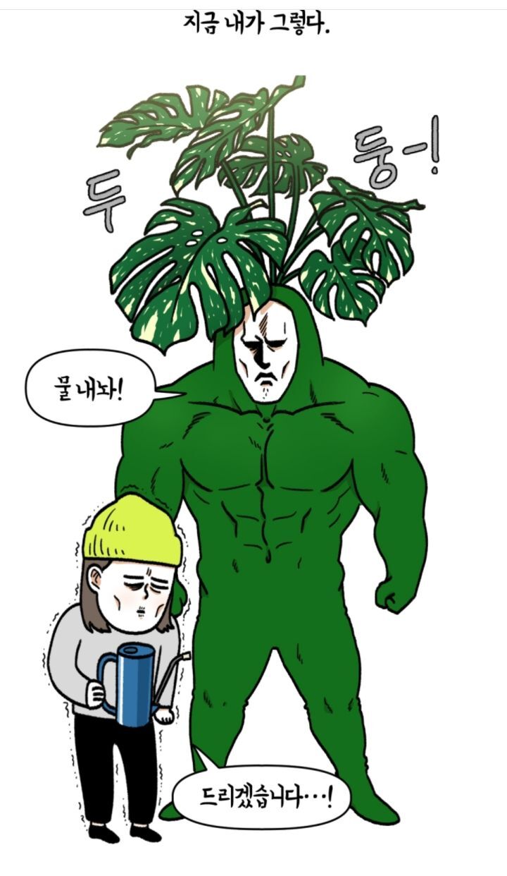 다육이 키우는 초보자들이 제일 많이 하는 실수 | 인스티즈