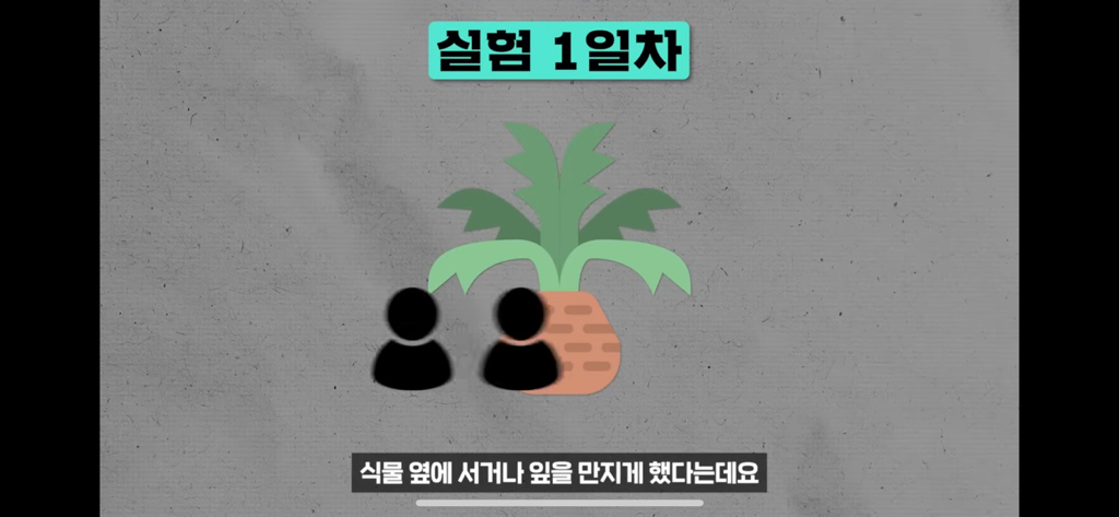 역대급 대충격이였던 식물실험 | 인스티즈