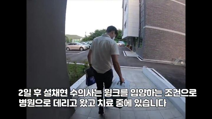 교통사고난 유기견 입양한 설채현 수의사 그리고 윙크 근황😉 | 인스티즈