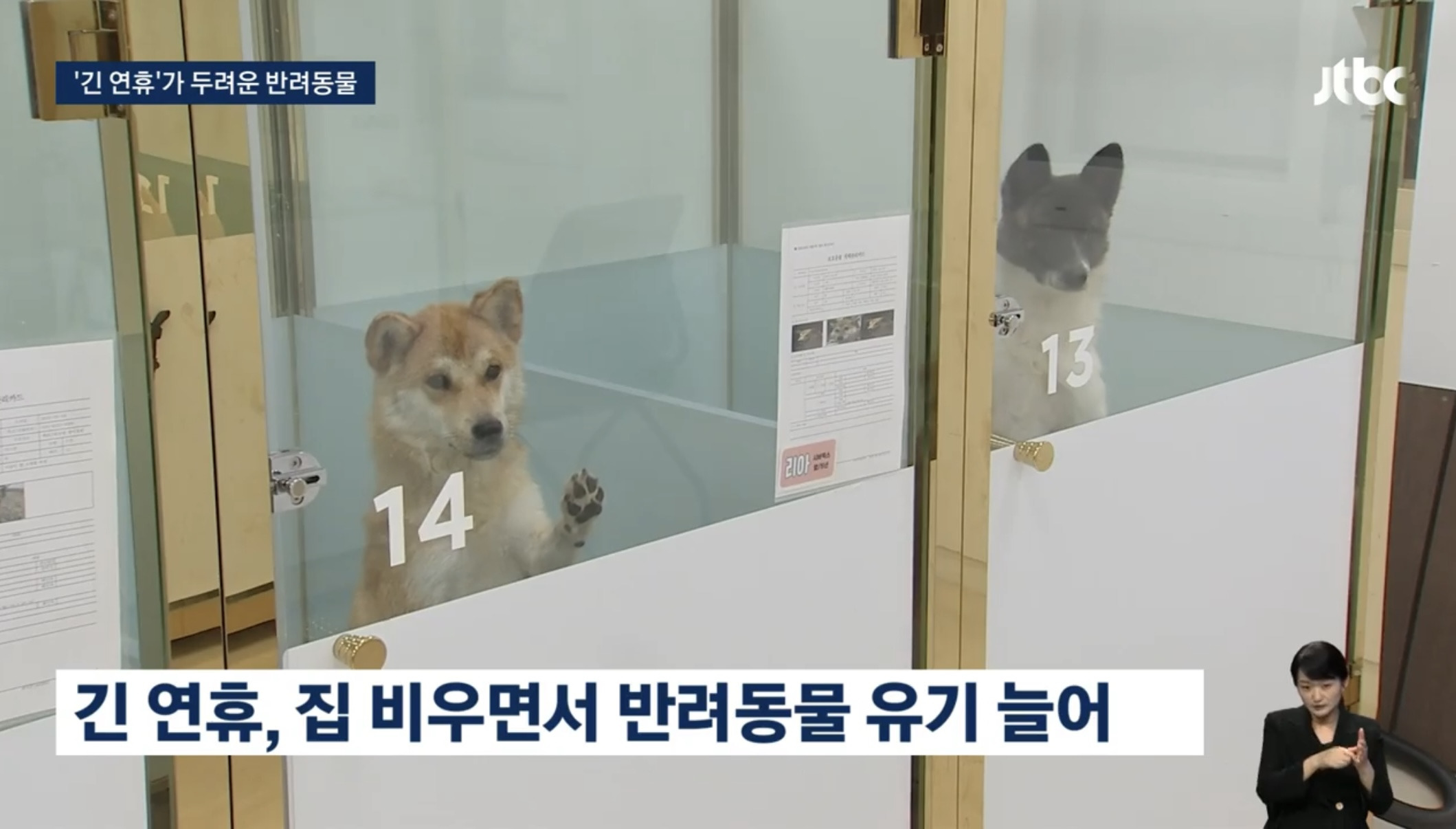 '맡길 데 없네' 그대로 거리에…긴 연휴가 두려운 반려동물 | 인스티즈