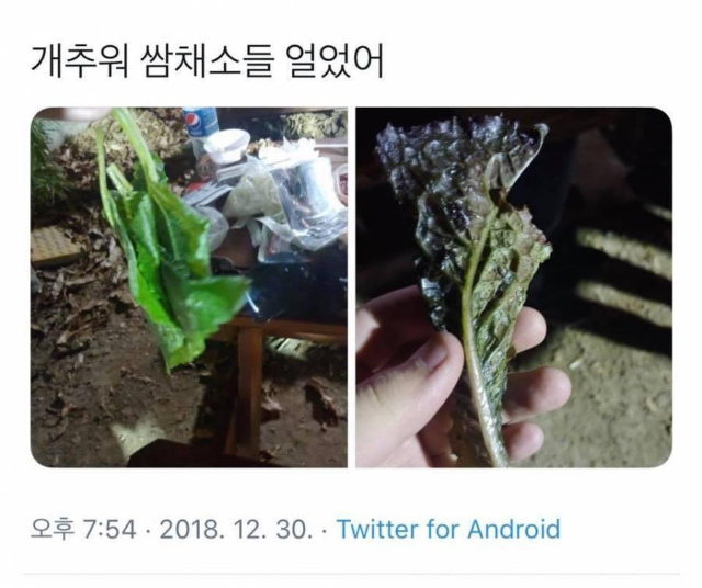 다 얼었던 2018년 그때의 겨울 | 인스티즈