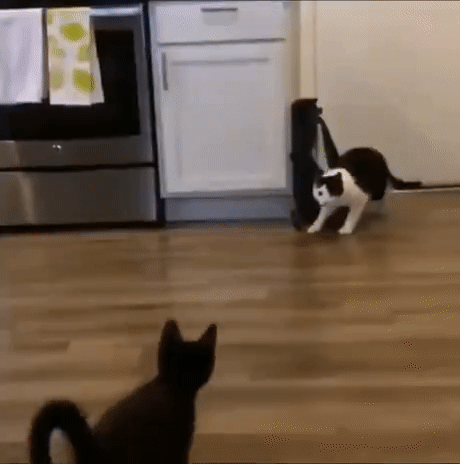 10200e677fc93b9031f98f6afe259006657cde2a