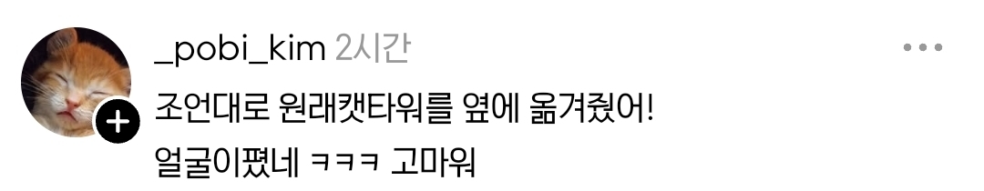 애착 캣타워를 잃었다가 다시 찾은 냥이 | 인스티즈