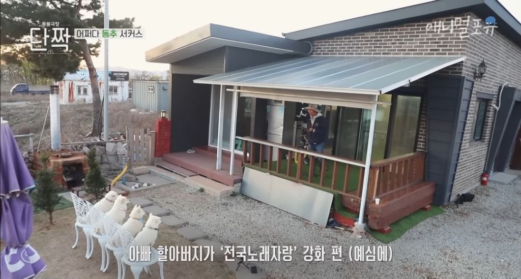 겁나 재밌게 사는 할아버지와 냥댕이들ㅋㅋㅋ.gif | 인스티즈