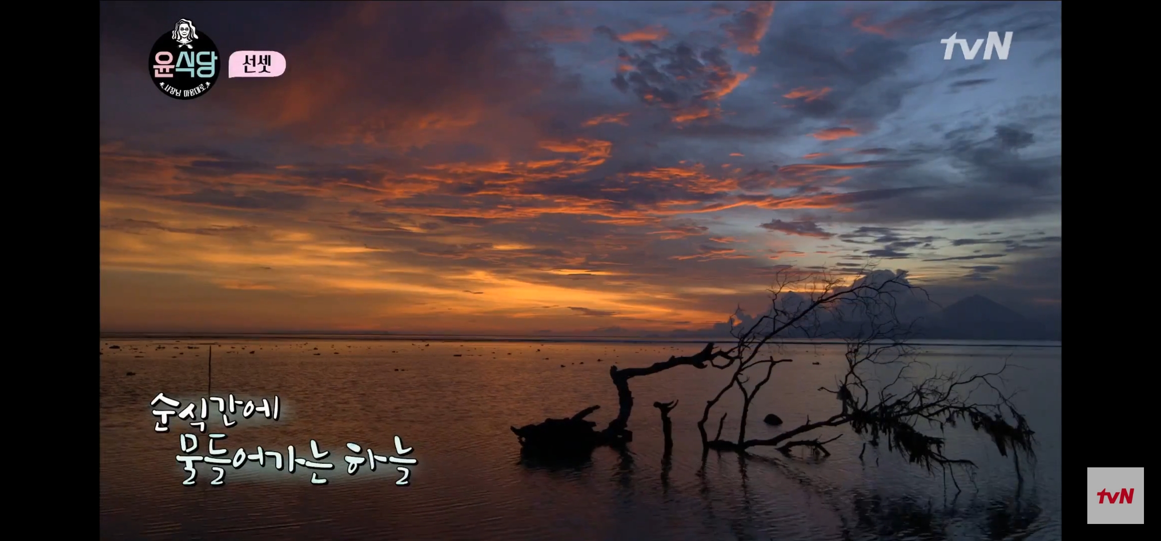 [윤식당] 난 노을 지는게 너무 싫은거 있지. 꼭 울어야 될 거 같아 | 인스티즈