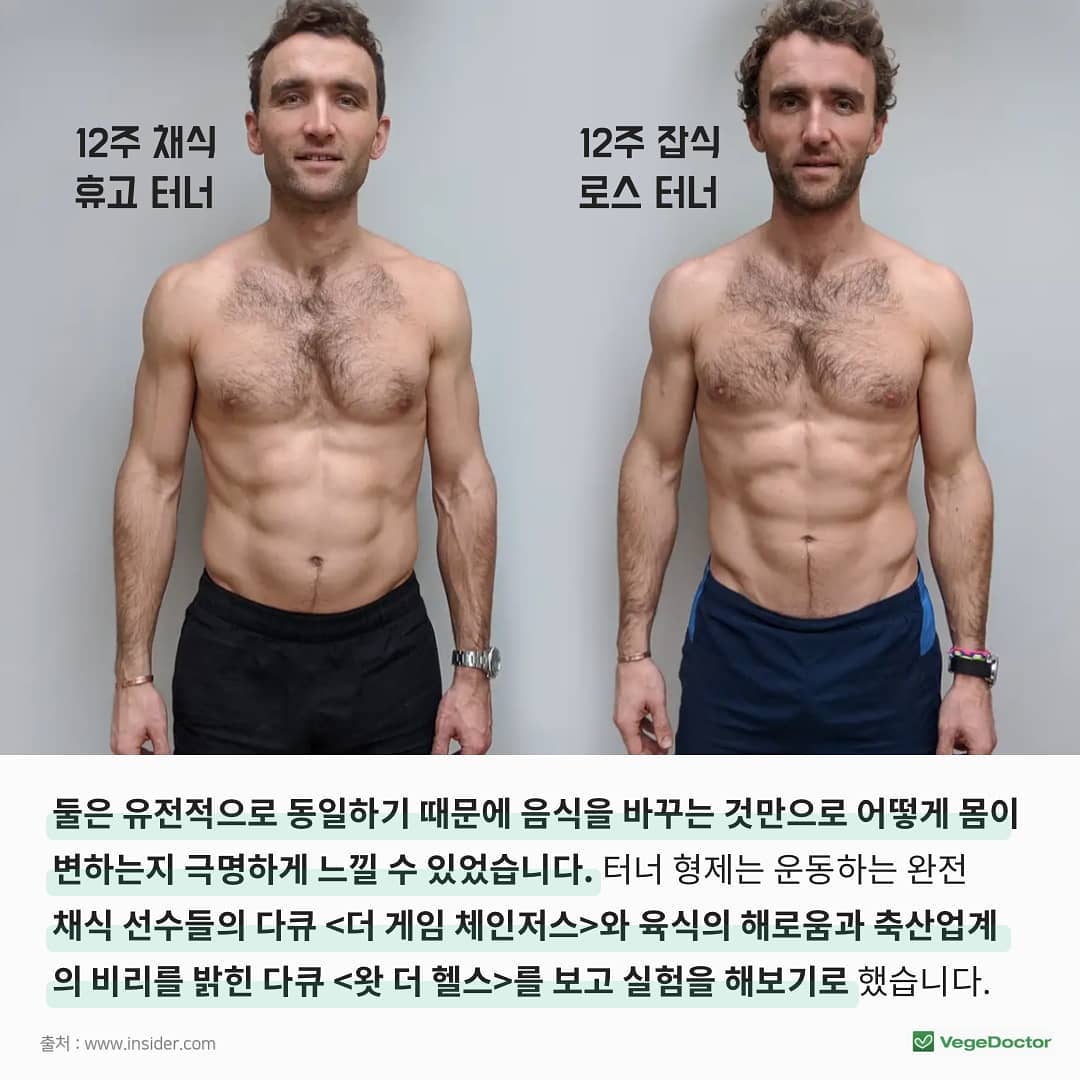 쌍둥이가 채식 vs 잡식으로 12주를 보낸다면? | 인스티즈