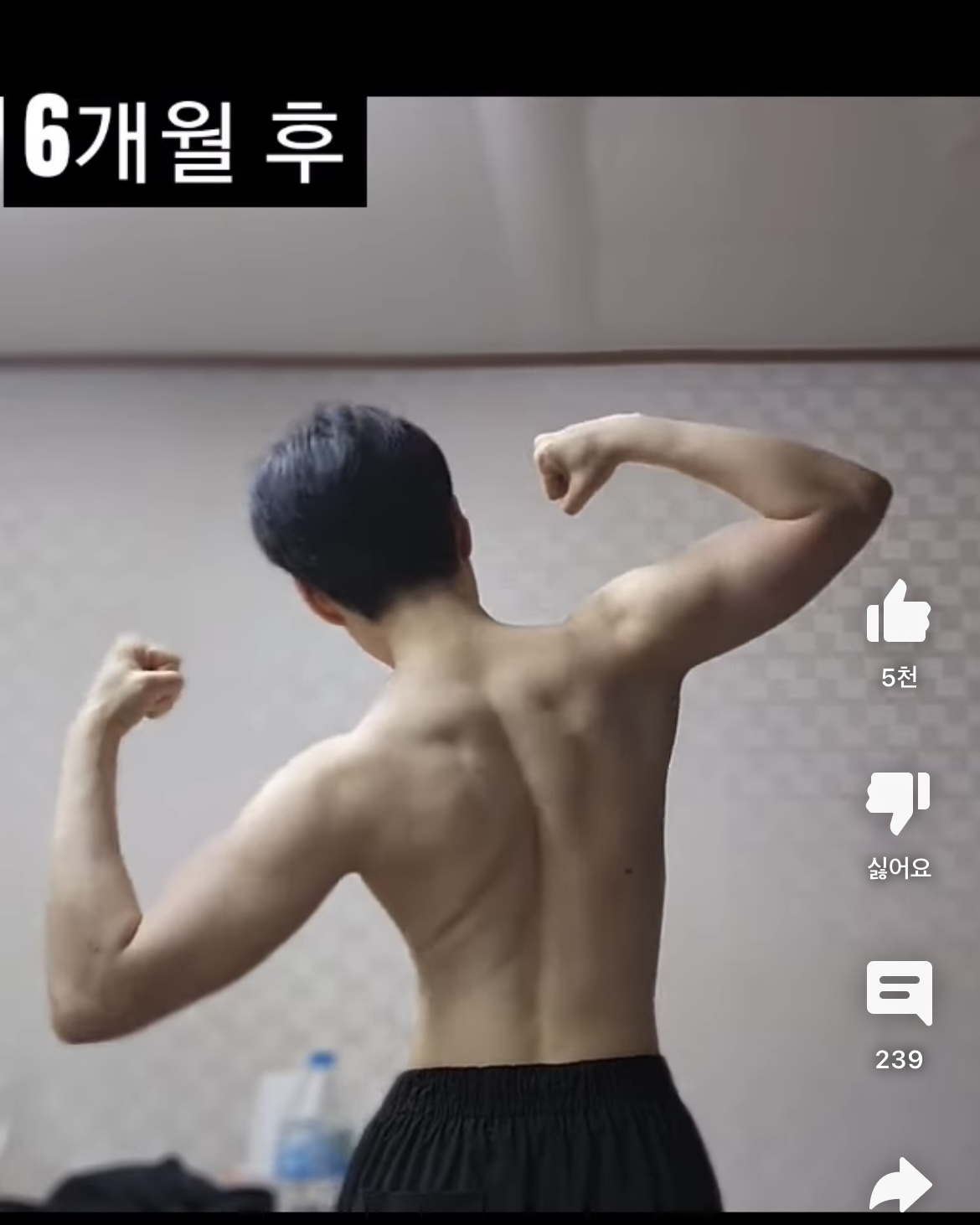 여자가 6개월동안 상체 웨이트 몰빵하면 생기는 일 | 인스티즈