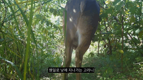 106d0e8e80c1e54dddf0f4deb9d29e9d013951da