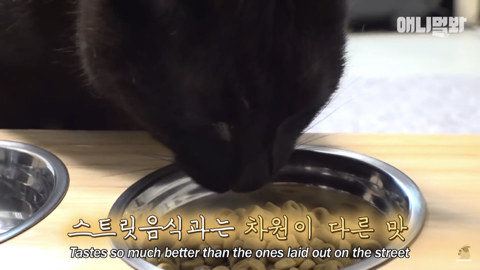 밤낮없이 집 도어락을 누르는 누군가때문에 고민인 부부 | 인스티즈