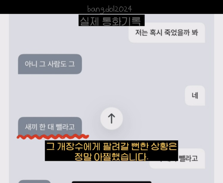 [입양홍보] 개장수에게 팔렸다 되찾아온 방치견 진순이·진돌이, 평생 가족을 찾아요! (부산/울산/전국) | 인스티즈