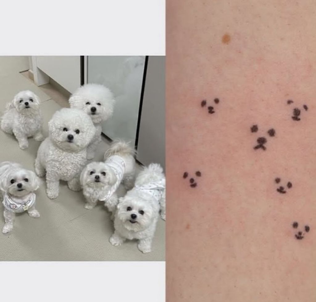 애매한데 비슷한 느좋 동물 타투들 | 인스티즈