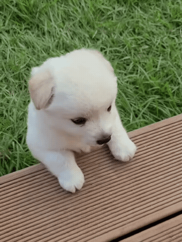 10a64115597c9e41899e6780628e588feeebbc40