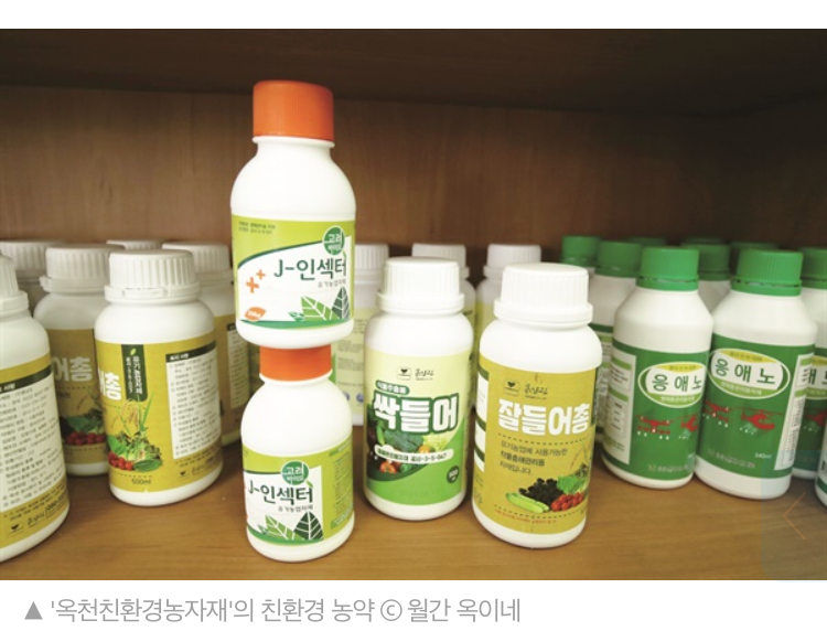 친환경 줄줄이 포기... 웰빙 열풍의 현주소 - 악플달면 쩌리쩌려버려 - ＊여성시대＊ 차분한 20대들의 알흠다운 공간 