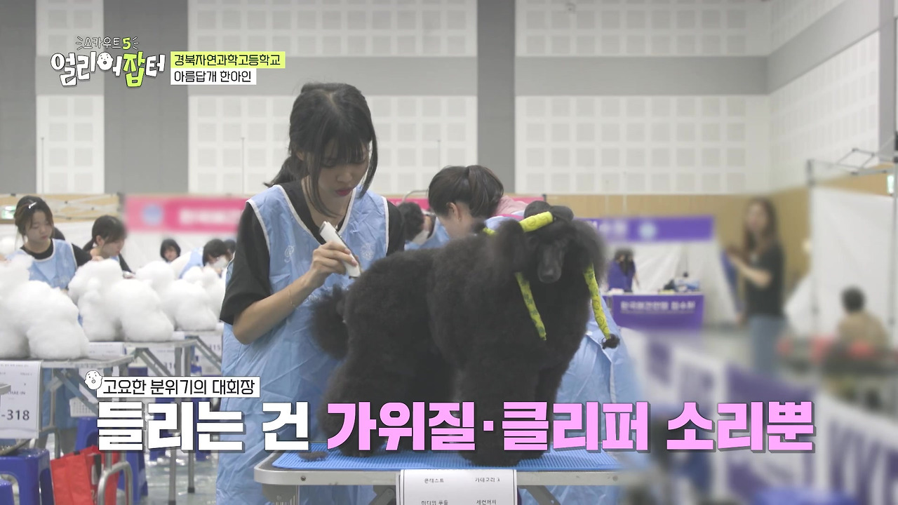 반려동물 키우는 사람들한테 도파민 터지게 만들었다는 한 고등학교 | 인스티즈