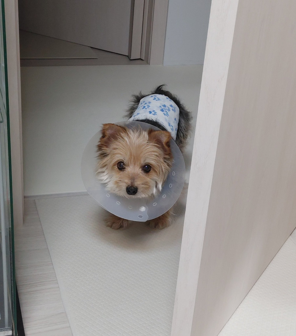 애를 옆구리에 깍 끼고 일하시라고요ㅠㅠ | 인스티즈