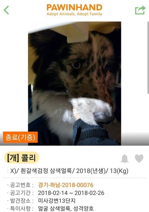 유기견 입양 전후 | 인스티즈