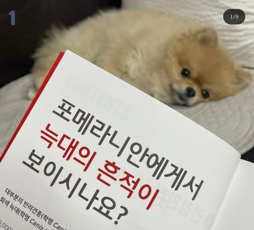 흔적 이미지