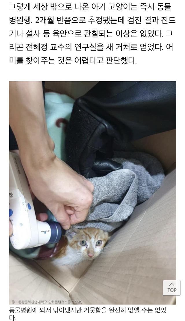 "차에 고양이 들어있음" 쪽지에 우르르 몰려나온 교수님들, 그 이후 | 인스티즈