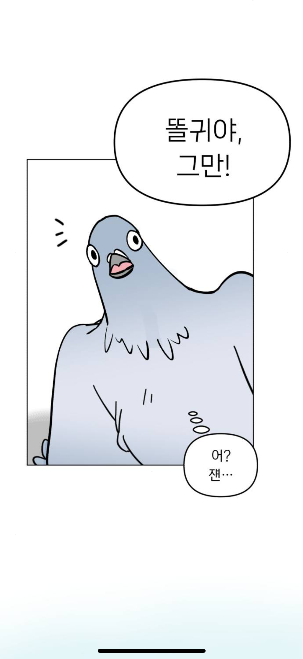 아니 내가 살다살다 비둘기를 볼려고 돈을쓰네 | 인스티즈