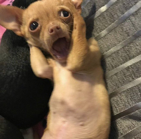 인스타 부계에 힘들때마다 올린짤 모음Zip | 인스티즈