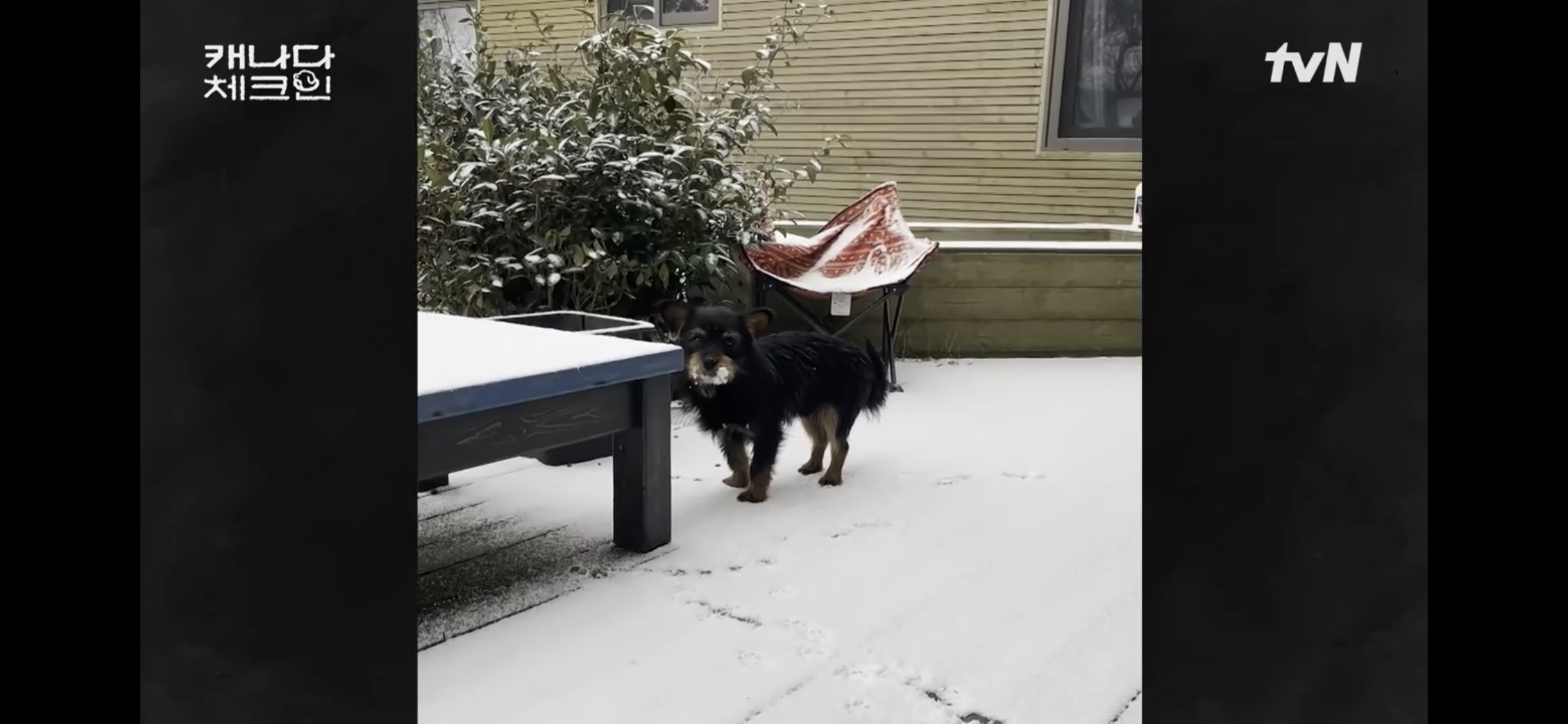 초조하게 누군가를 기다리는 이효리 | 인스티즈