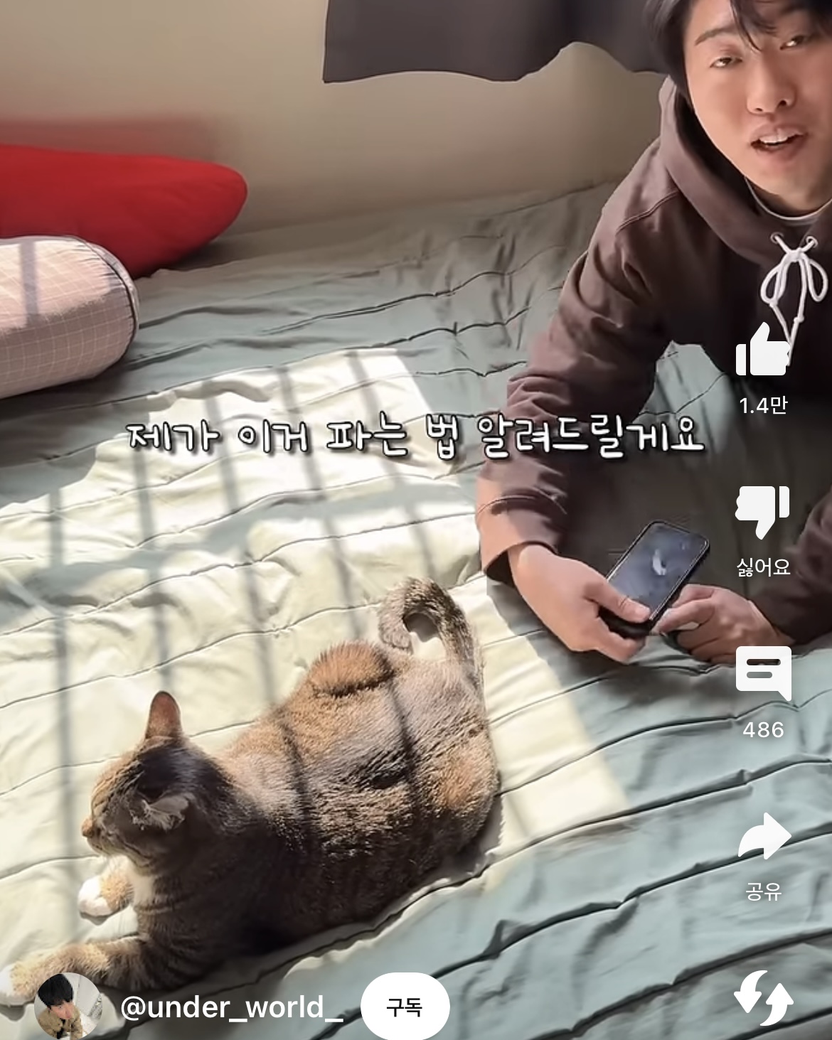 당근마켓에서 물건팔때 꿀팁 | 인스티즈