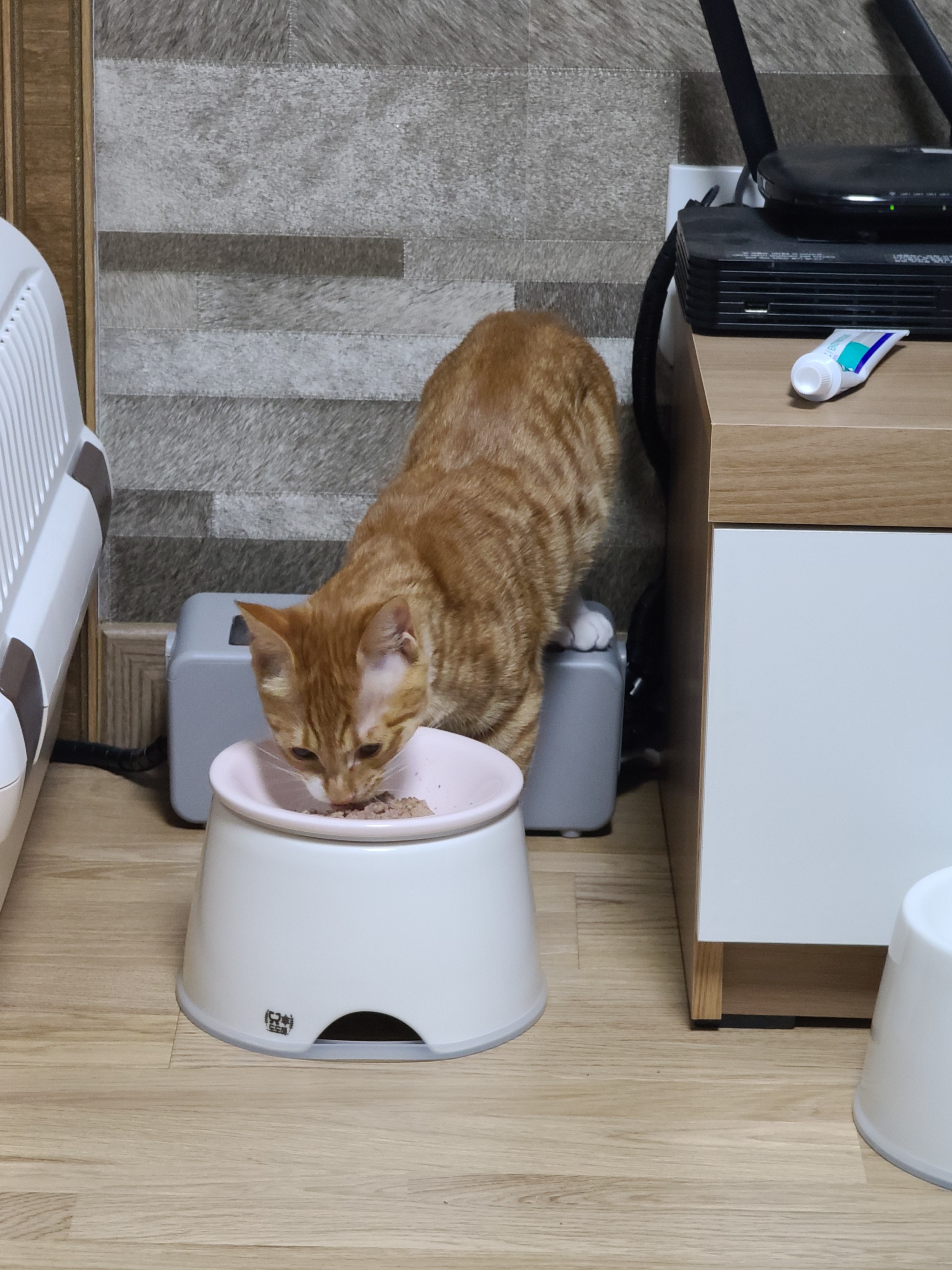 가... | 인스티즈