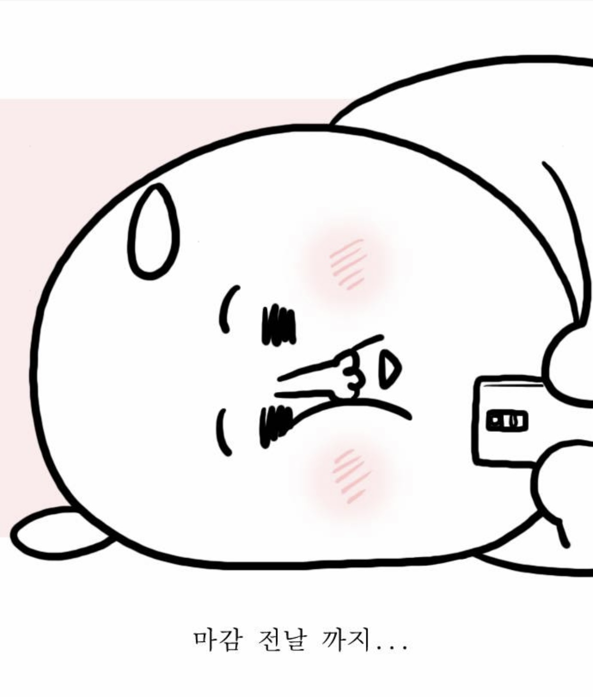 자까랑 모죠 보면 mbti s랑 n 차이 딱 느껴지는 달글 | 인스티즈