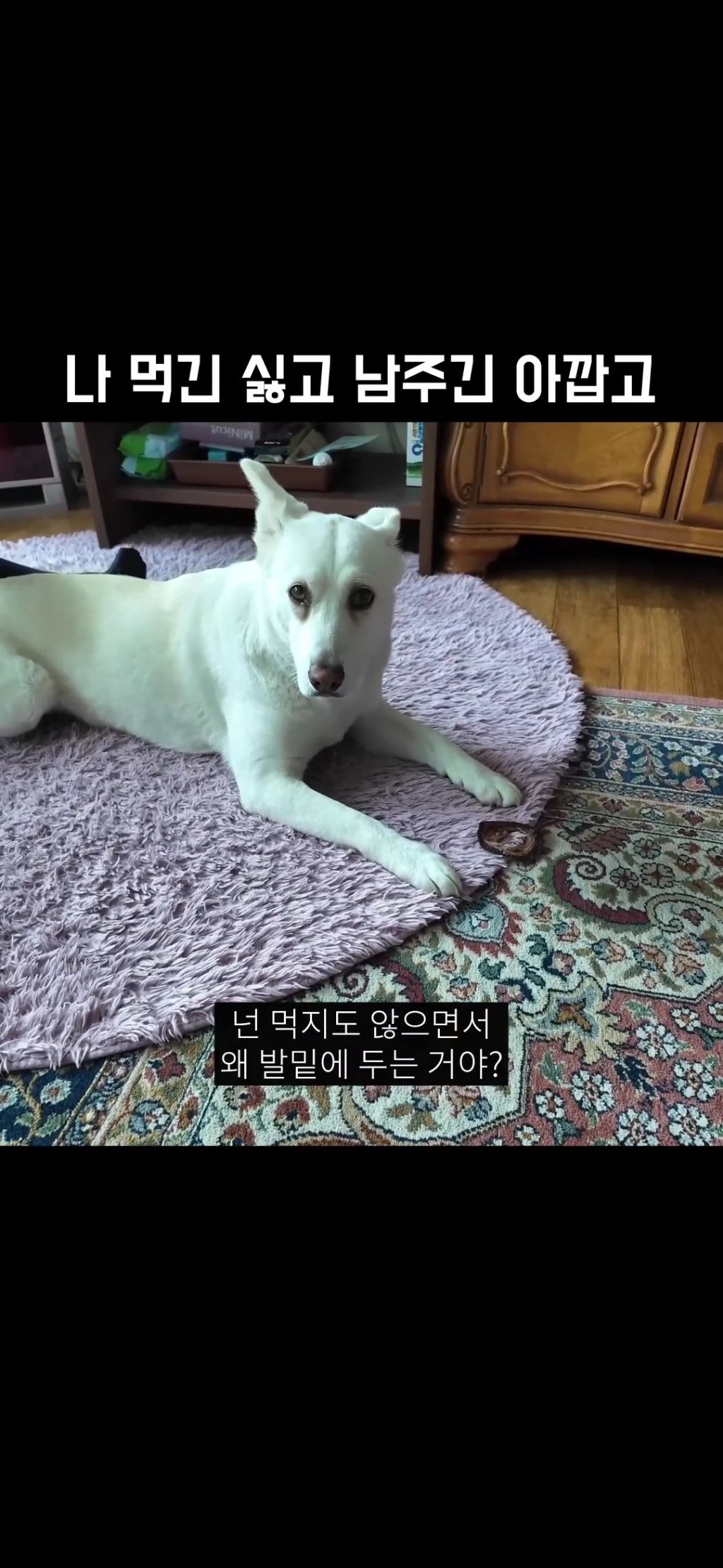 22만 유튜버 강복순 인성논란 | 인스티즈