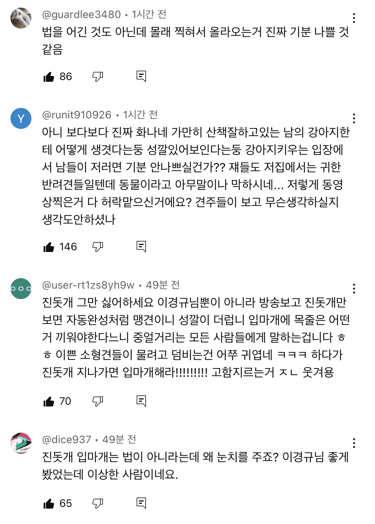 이경규 진돗개 입마개타령 영상에 박제된 견주분들 등장함 | 인스티즈