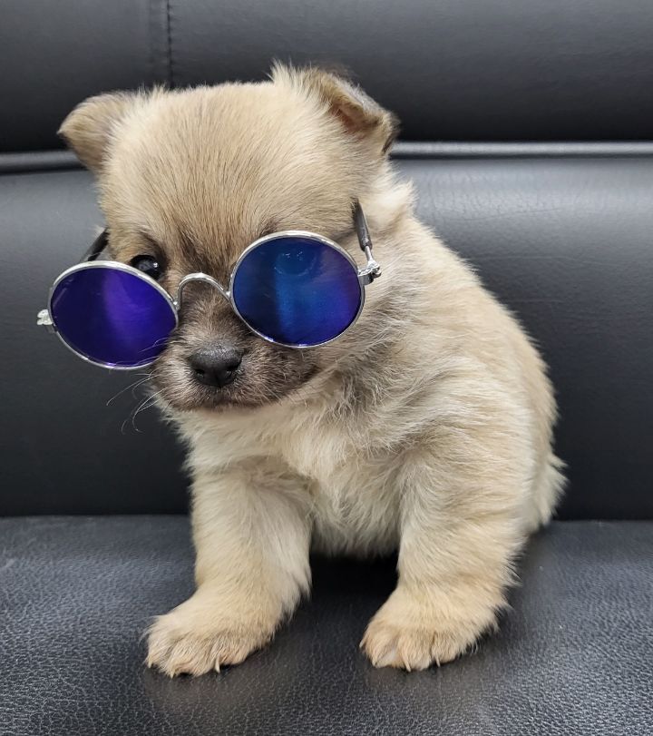 (공지라니... ++추가)새로생긴 회사 복지.. 미쳐서 도저히 일을 못하겠네.. (추가....)++추가 | 인스티즈