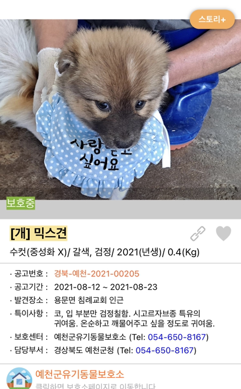 사랑이 느껴지는 포인핸드의 담당자들 | 인스티즈
