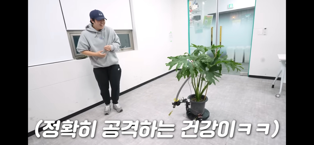 역대급 대충격이였던 식물실험 | 인스티즈