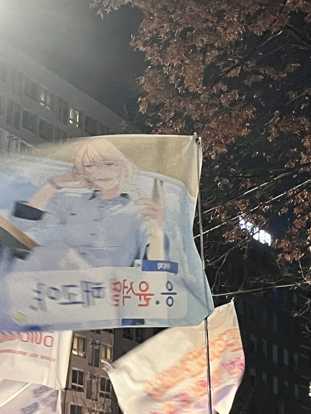 탄핵 시위= 대짱잼 깃발 대회 | 인스티즈